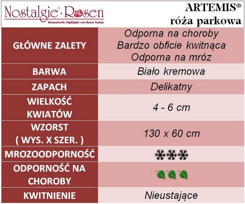 Artemis róże parkowe gł. zal.